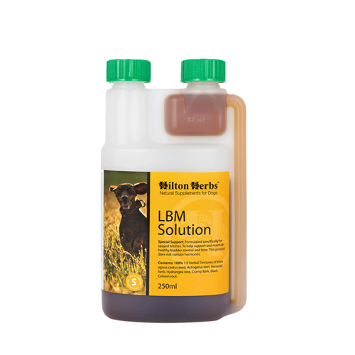 Hilton Herbs LBM Solution for Dogs - 250ml