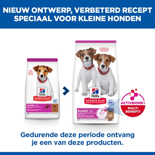 Hill's Science Plan - Puppy - Small & Mini - Lam & Rijst