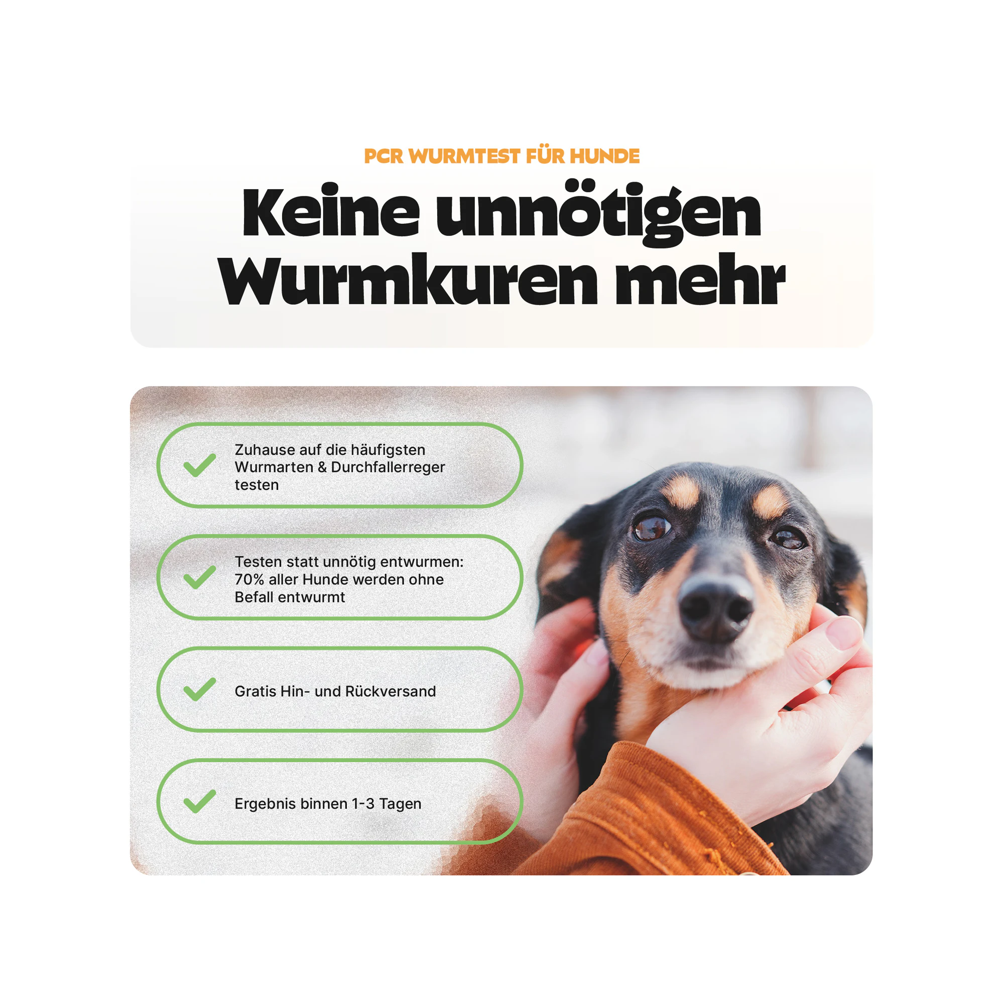 Pezz PCR Wurmtest Hund