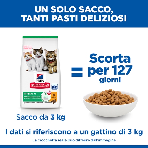 Hill's Science Plan Kitten - Pollo
