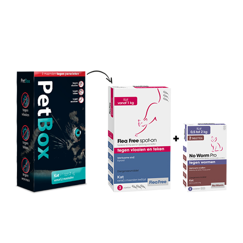 PetBox Chat