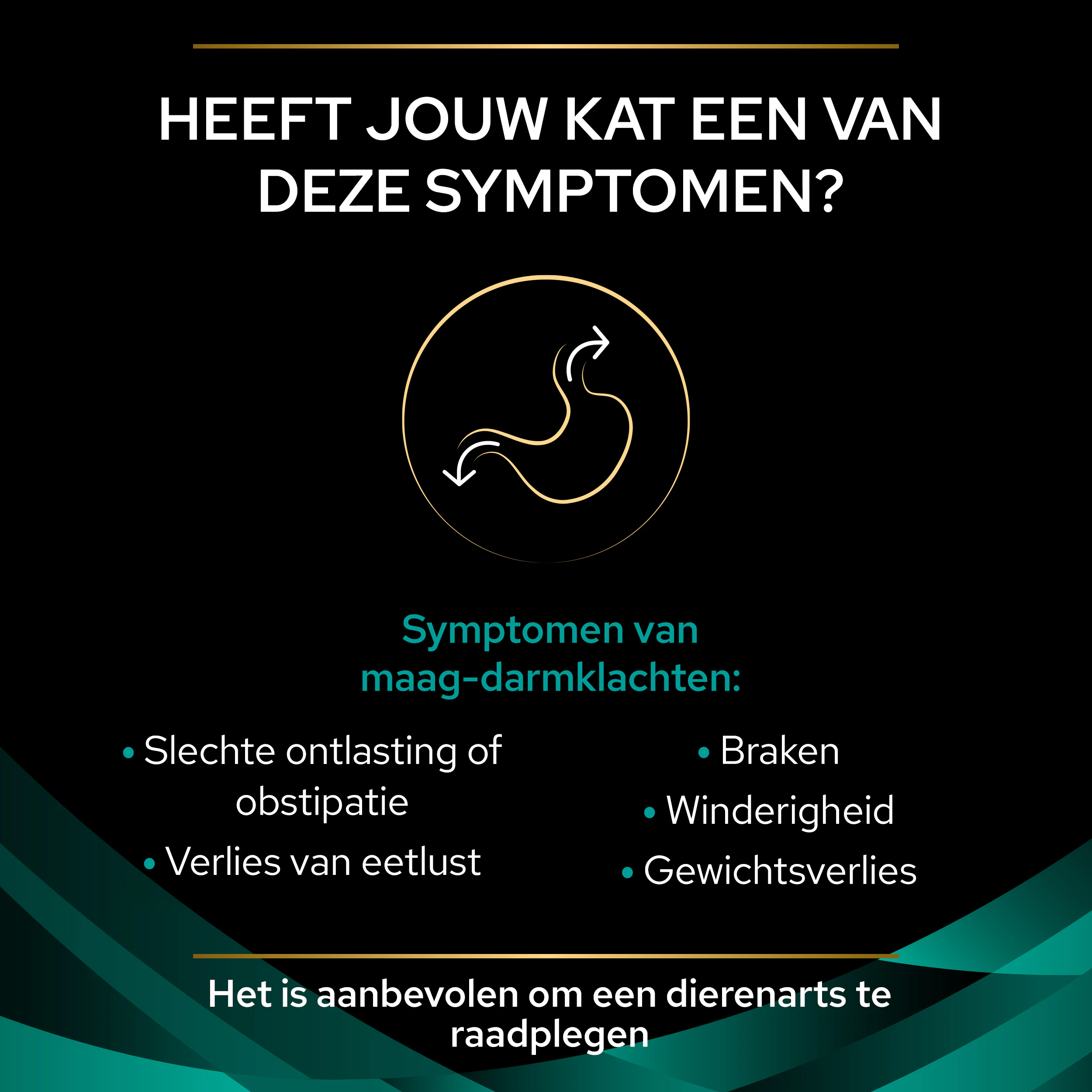 Purina Pro Plan Veterinary Diets EN St/Ox Gastrointestinal - Kat
