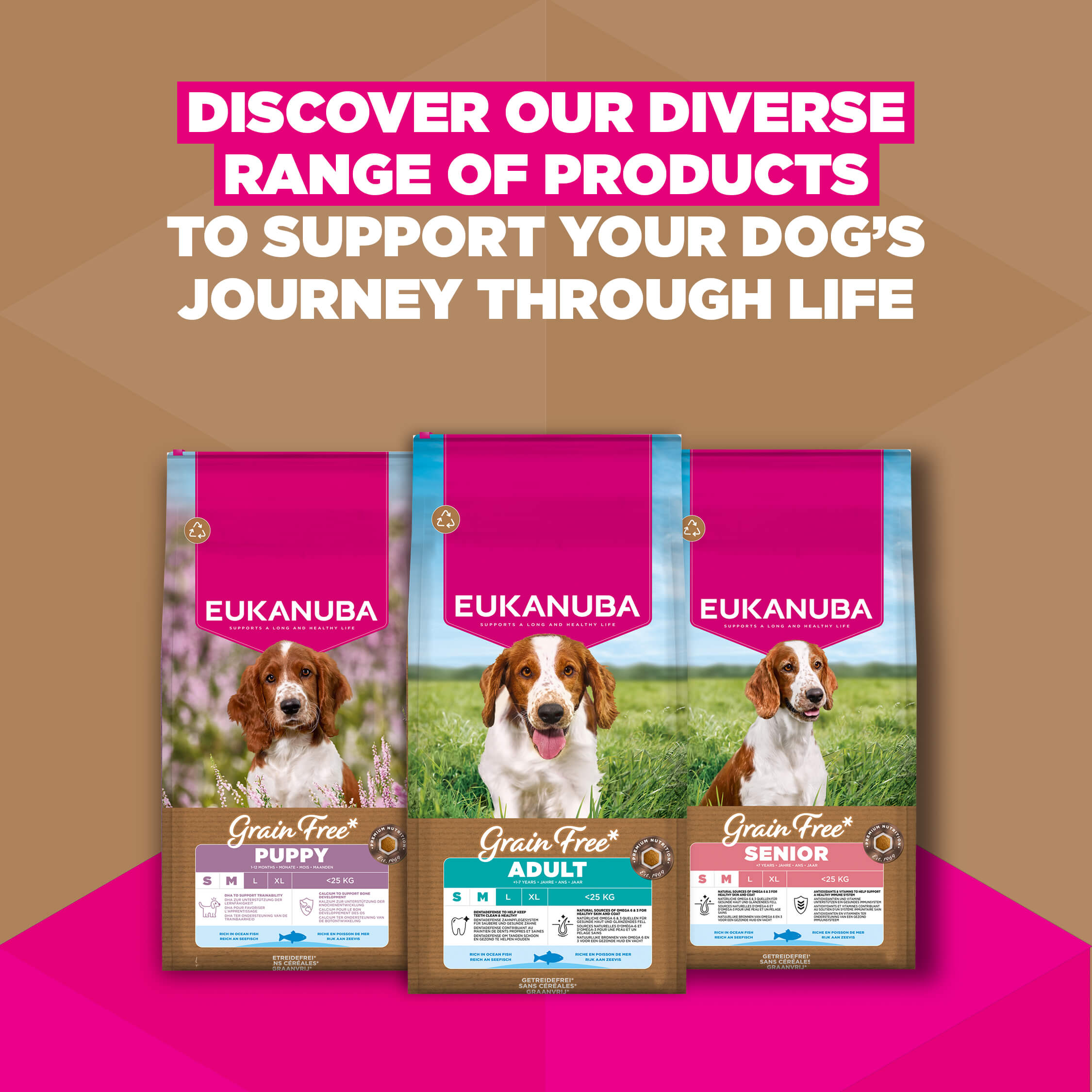 Eukanuba Dog Puppy Small/Medium Grainfree Dog Food