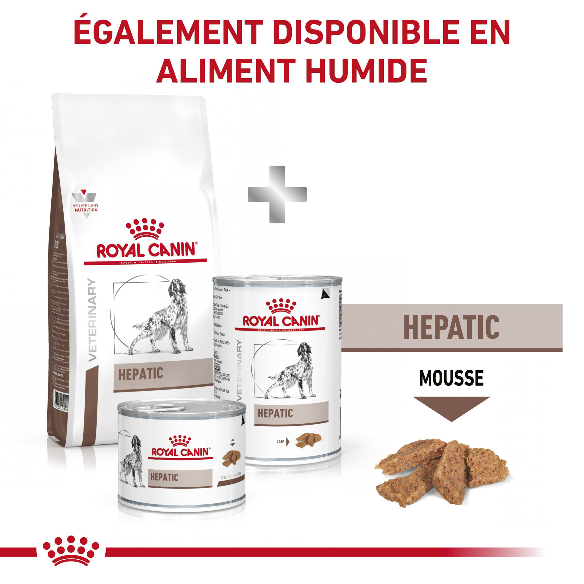 Royal Canin Hepatic Chien