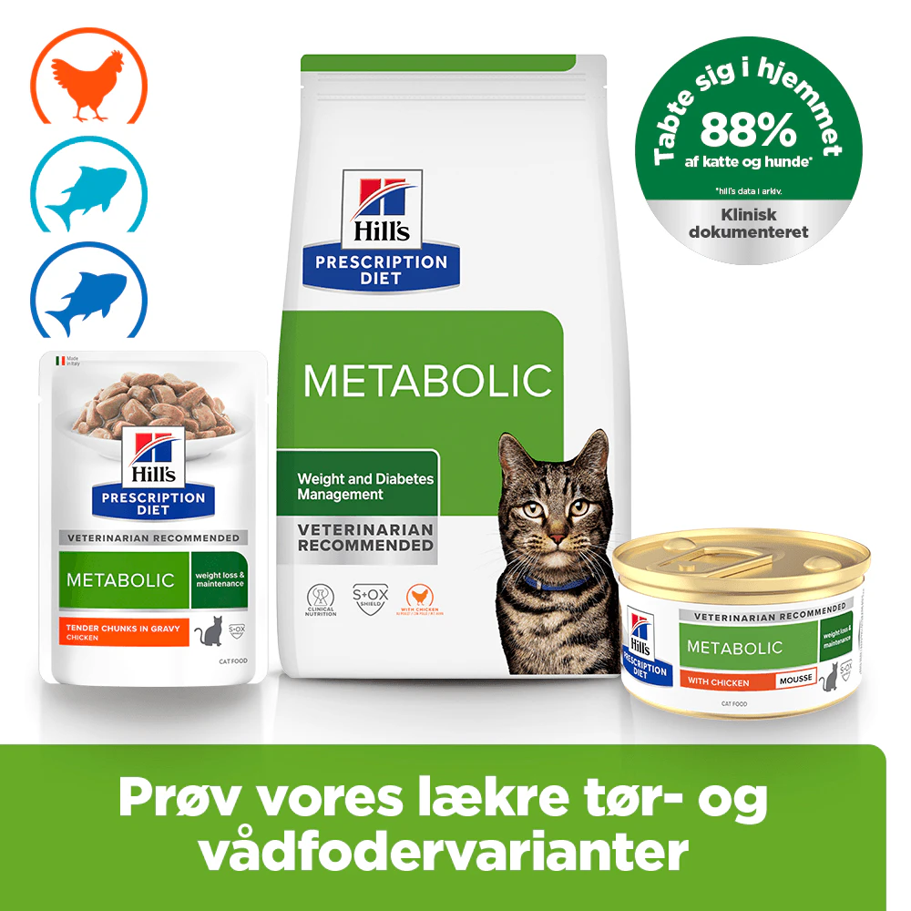 Hill's Metabolic Weight Management - Prescription Diet - Feline - Mousse