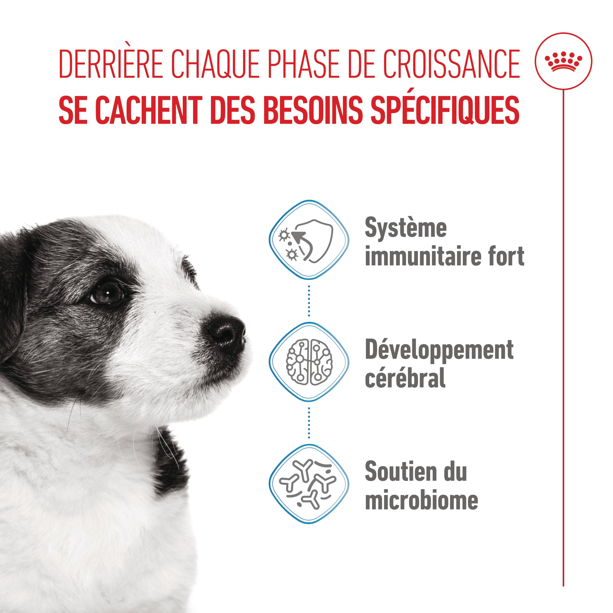 Royal Canin Mini Puppy