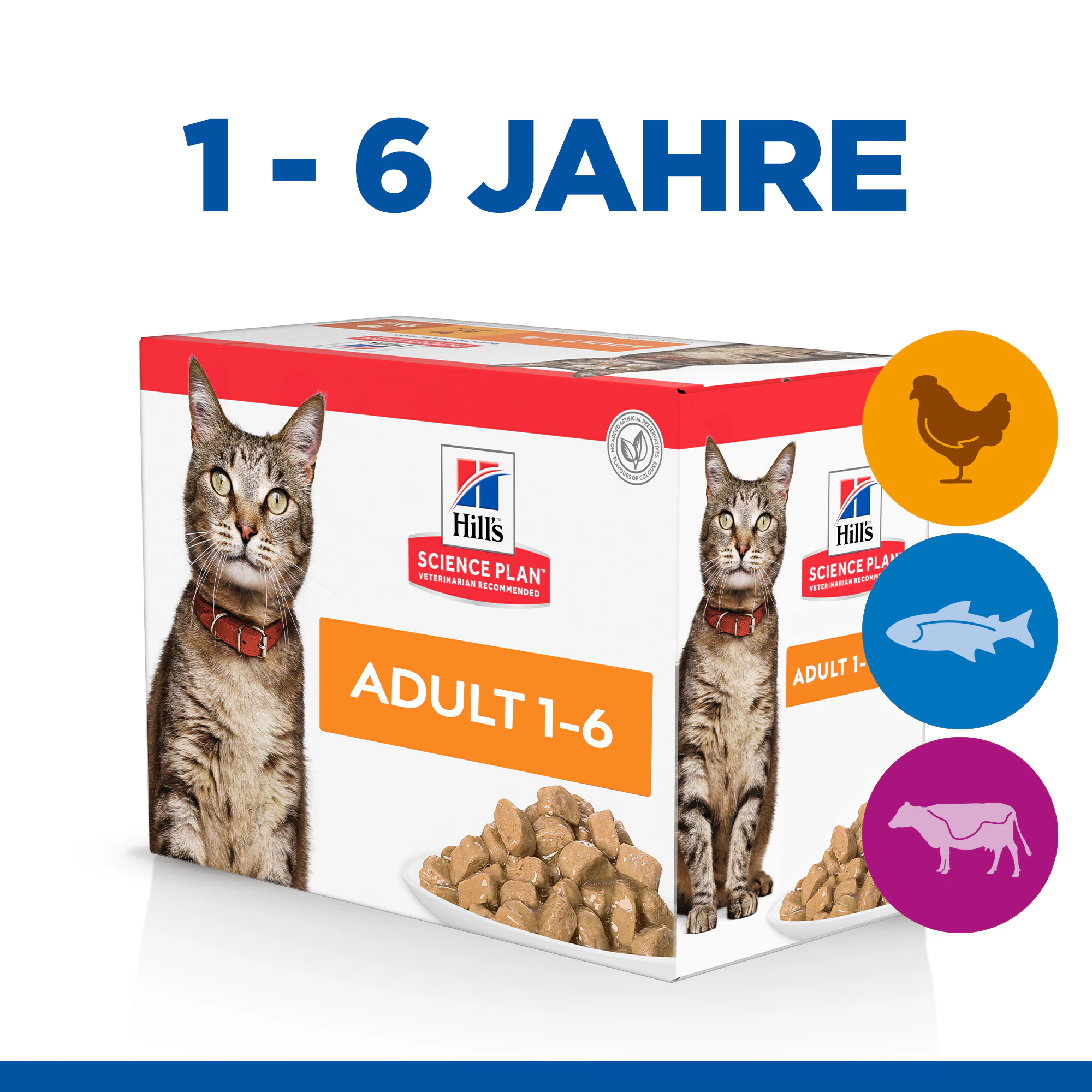 Hill's Science Plan Feline Adult Favourite Selection