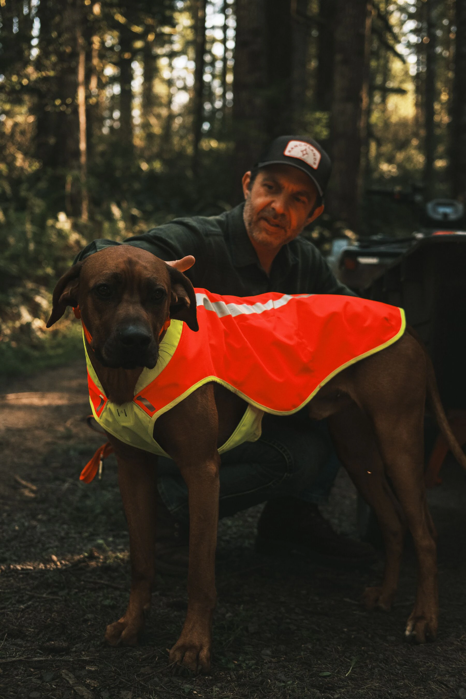 Ruffwear Lumenglow High-Vis Vest