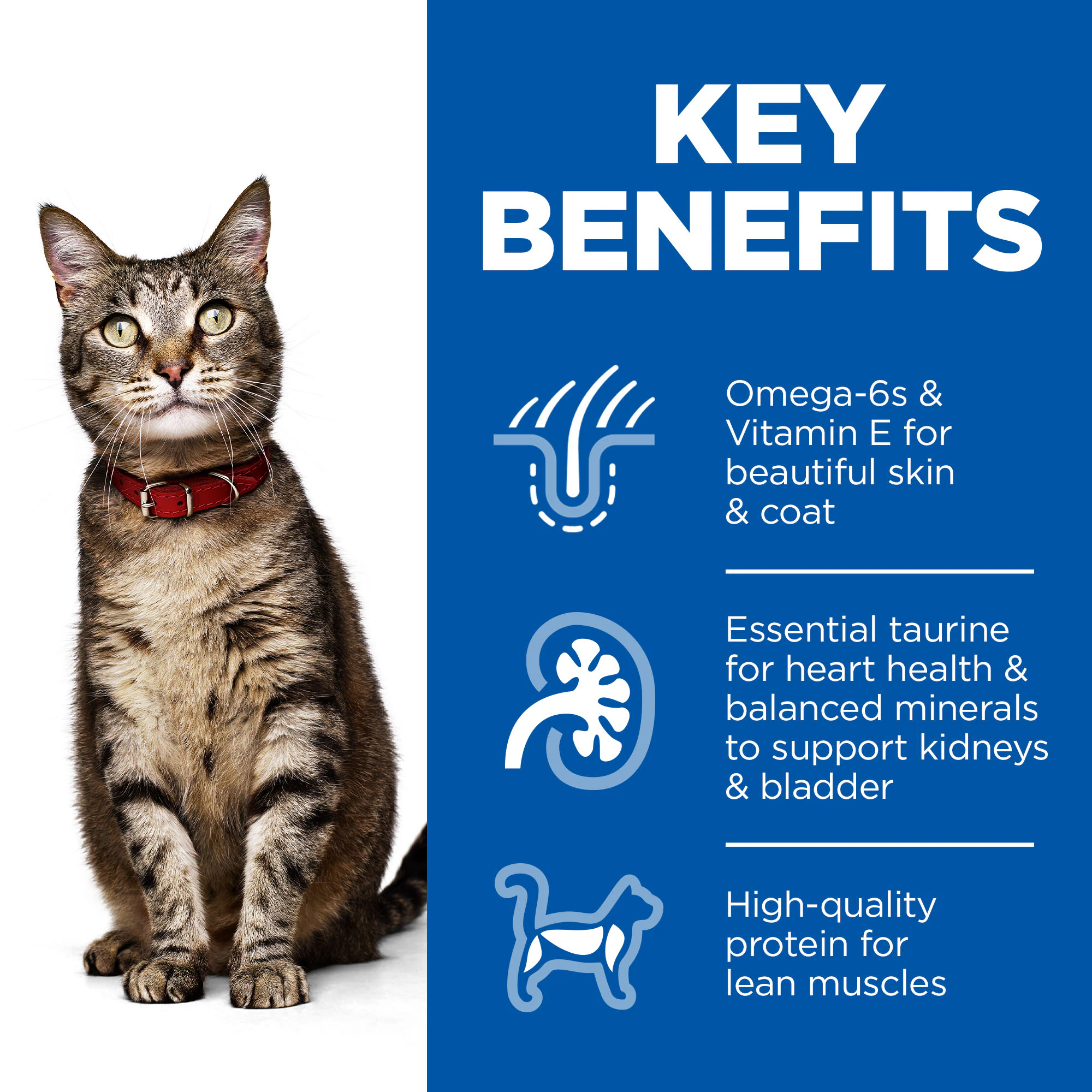 Hill's Science Plan Feline Adult Favourite Selection