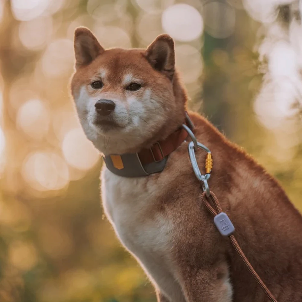 Woolly Wolf Rope Leash