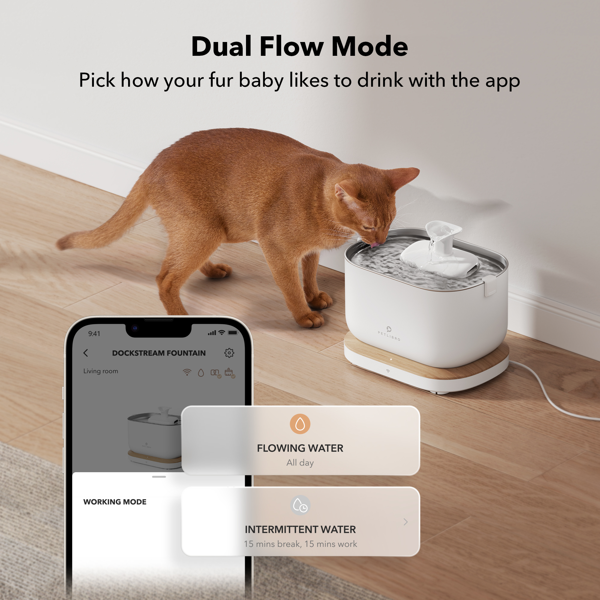 Petlibro Dockstream Smart Fontaine à eau