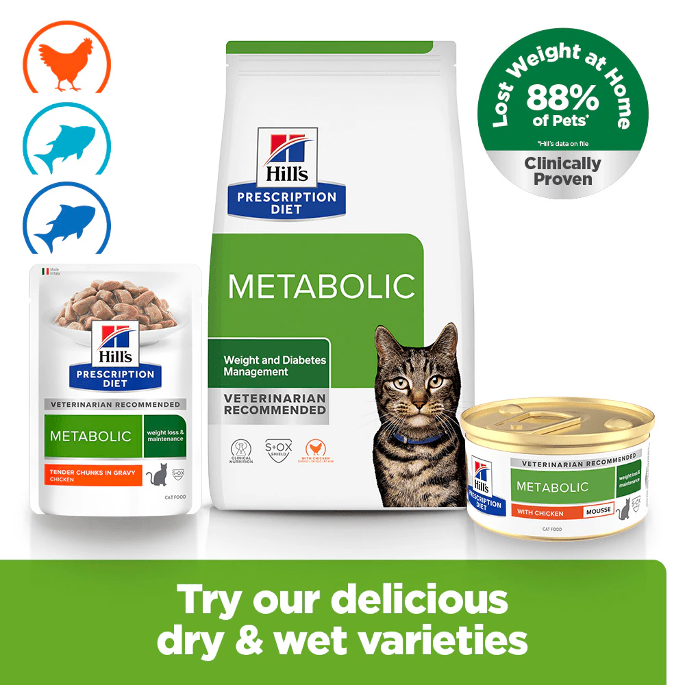 Hill's Metabolic Weight Management - Prescription Diet - Cat - Mousse