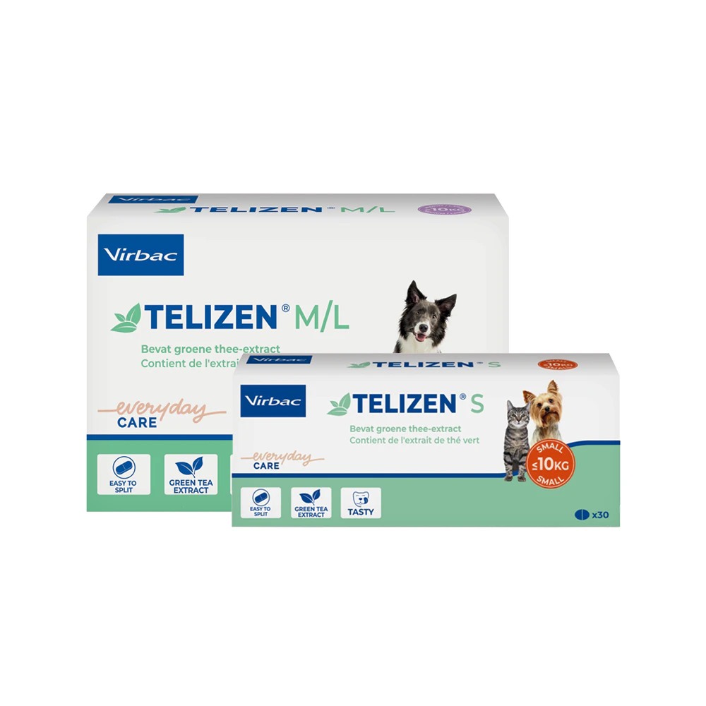 Telizen