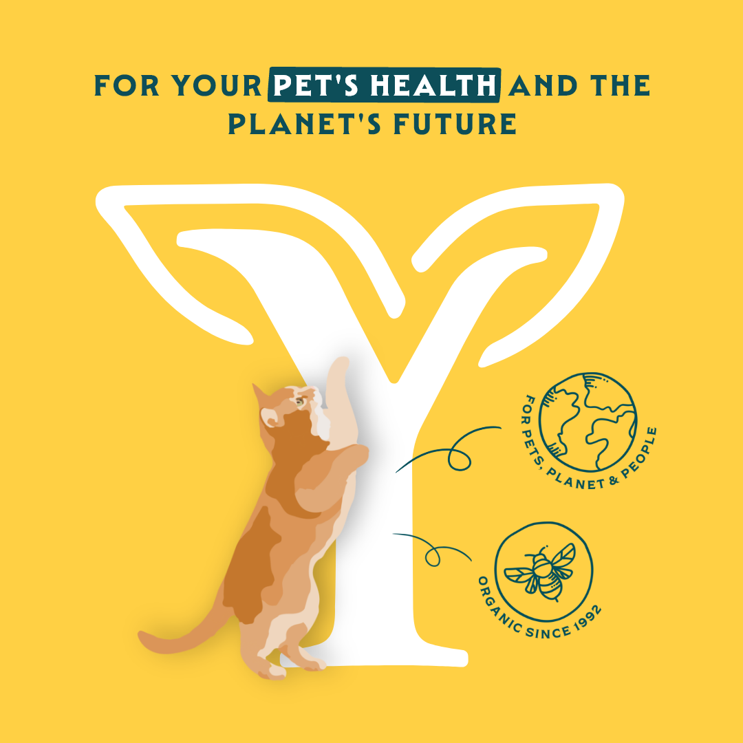 Yarrah - Kattensnack Chew Stick met Vis Bio