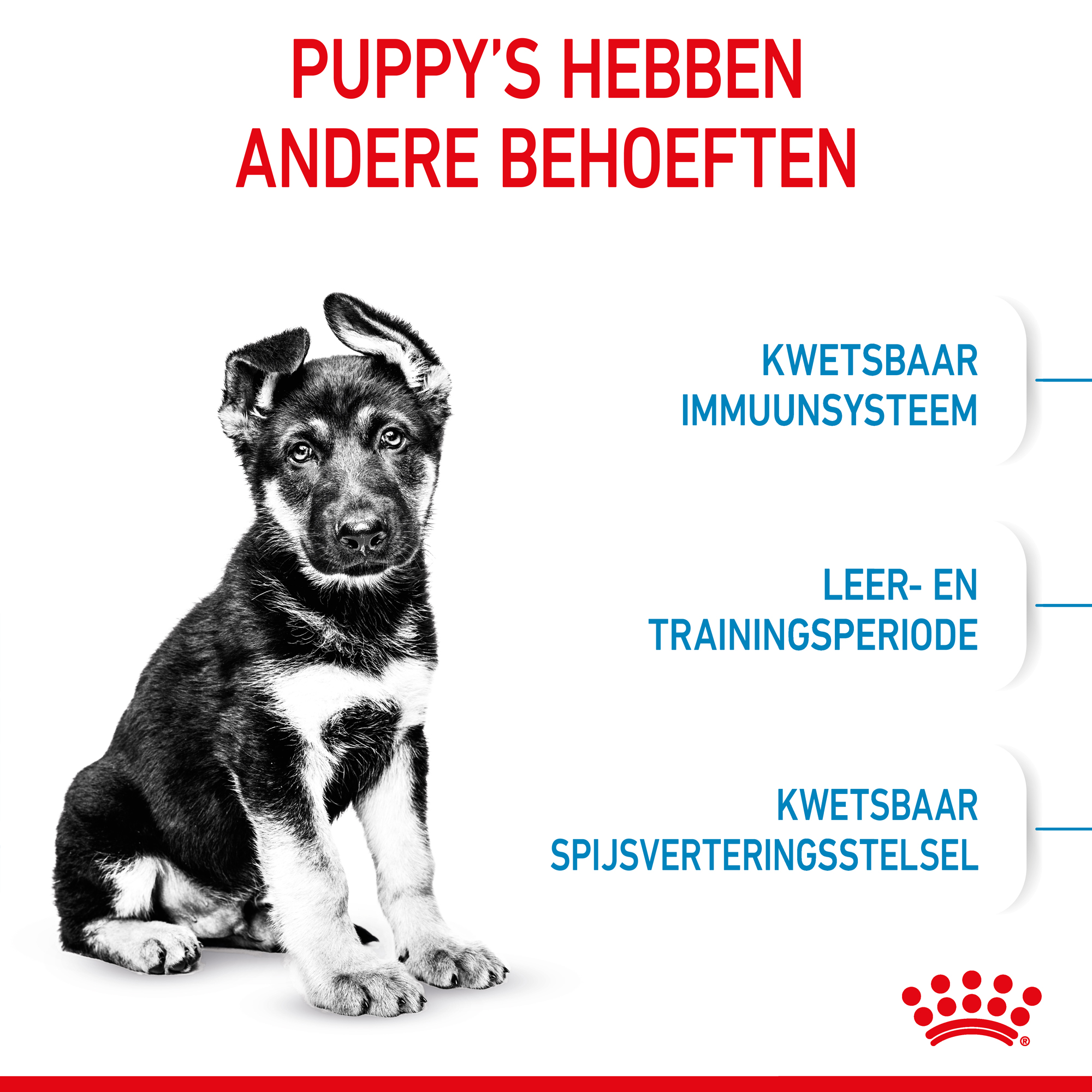 Royal Canin Maxi Puppy - Hondenvoer