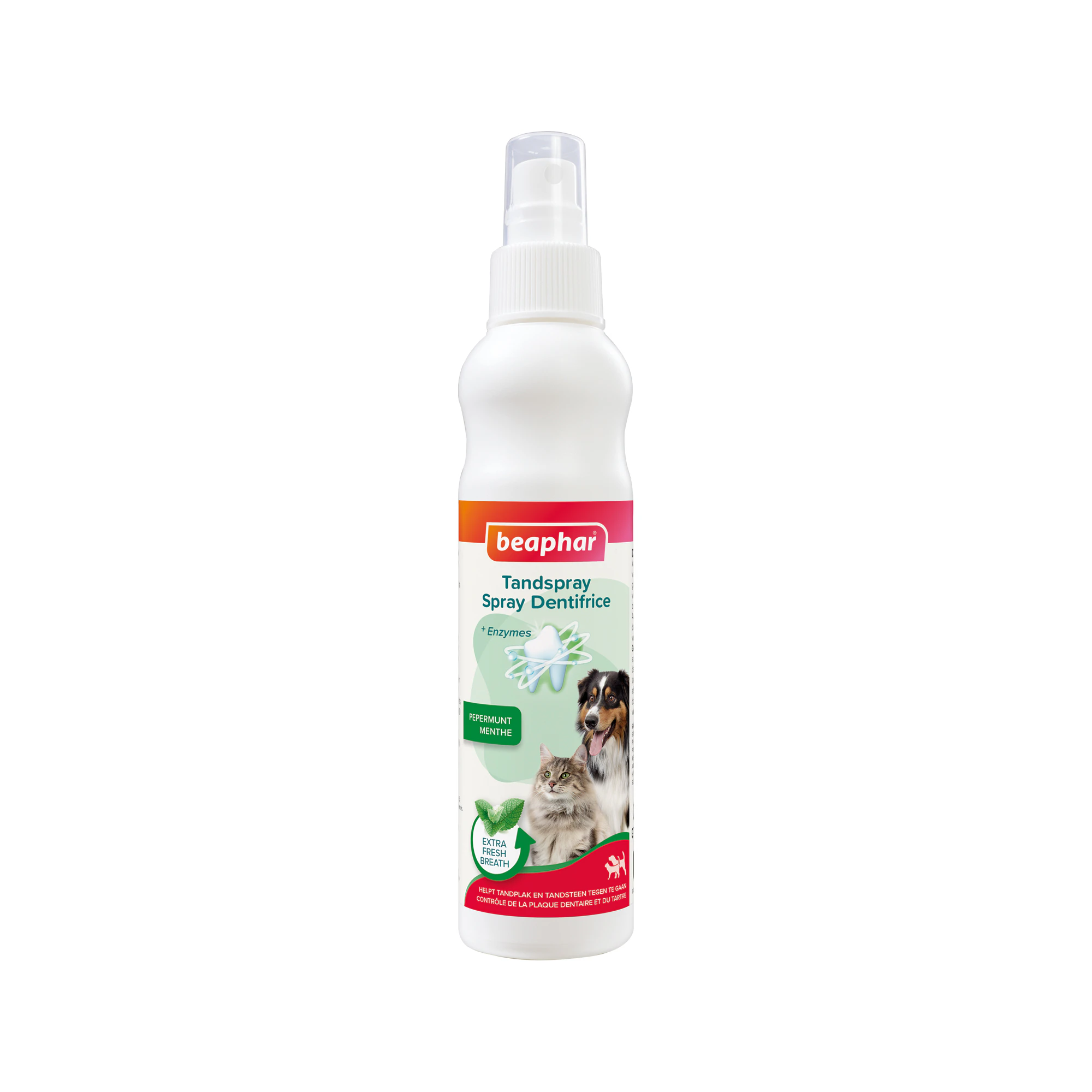 Beaphar Zahnspray
