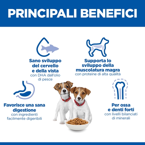 Hill's Science Plan Small & Mini - Puppy - Agnello e Riso