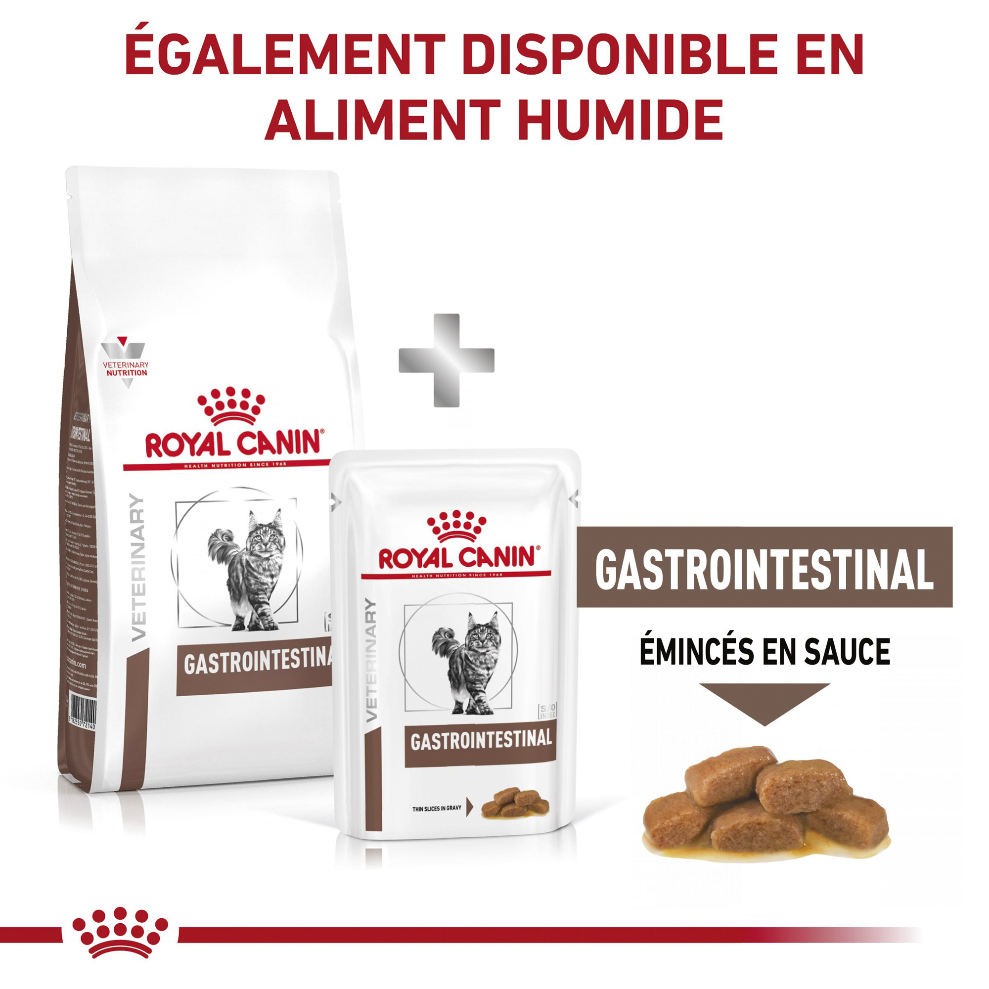 Royal Canin Gastrointestinal Chat