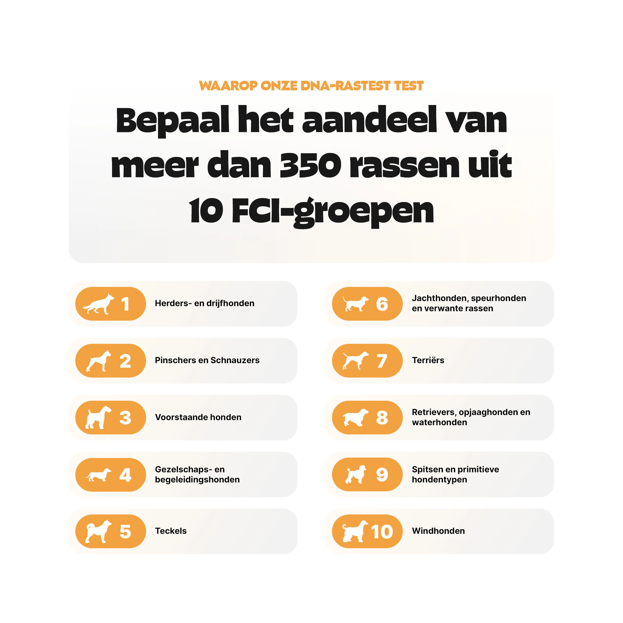Pezz DNA Rasbepaling Test Hond