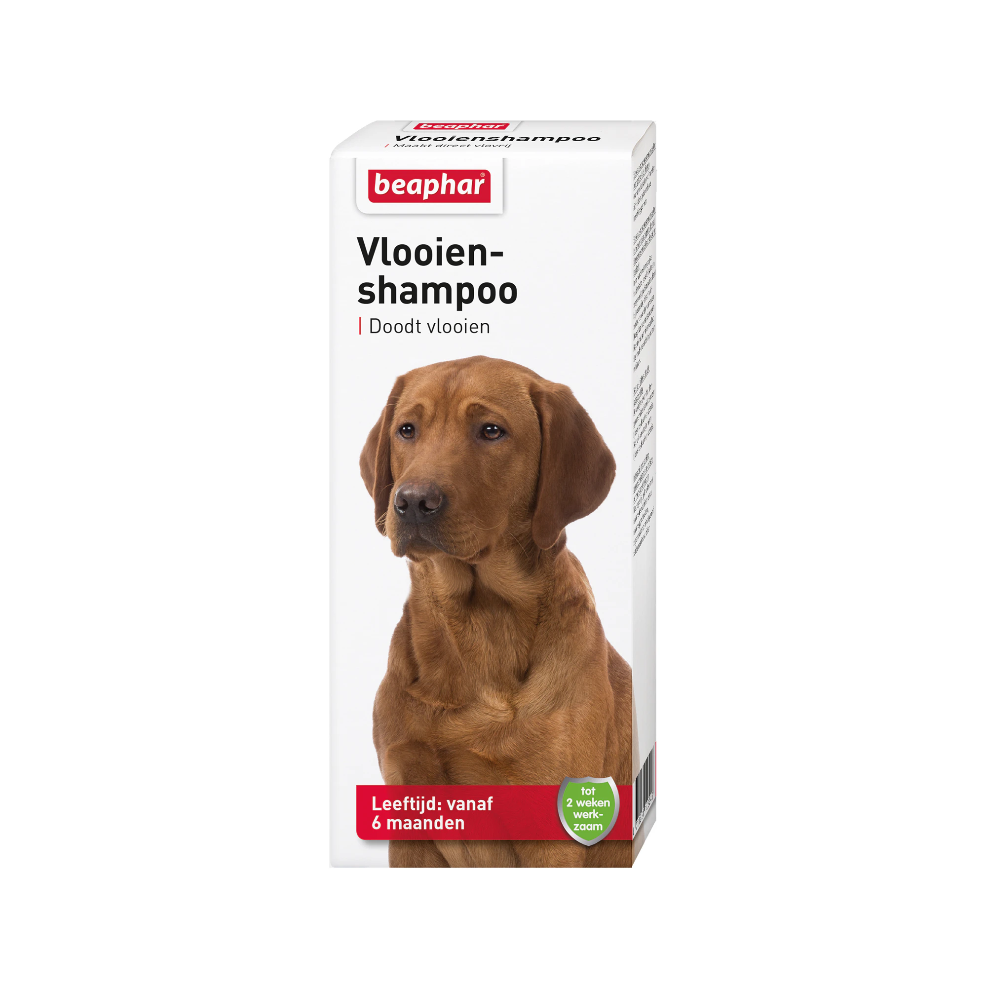Beaphar Flohschutz-Shampoo - Hund - 200ml