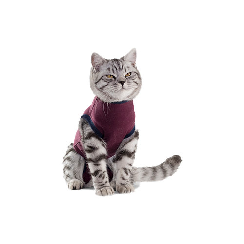 Jacketz Medical Body Suit Gilet de Protection Chat Medpets.fr