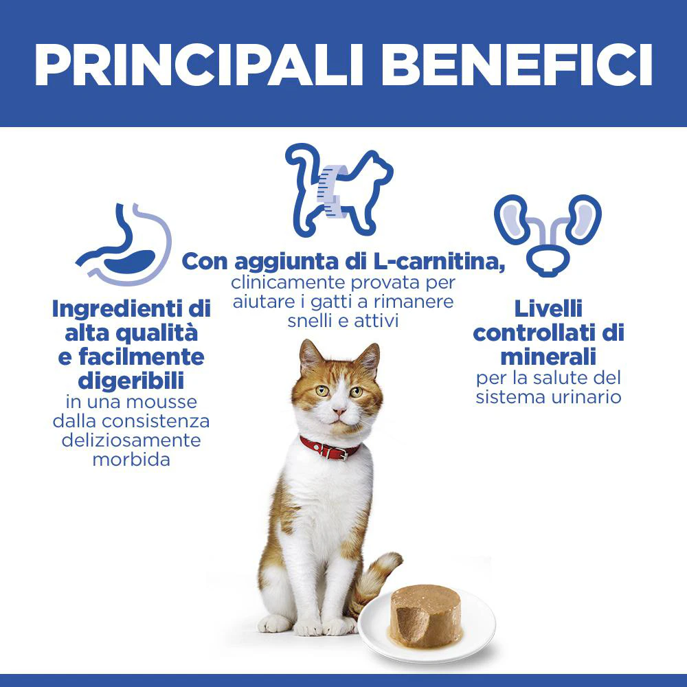 Hill's Science Plan Feline Sterilised Adult Premium Mousse - Salmone