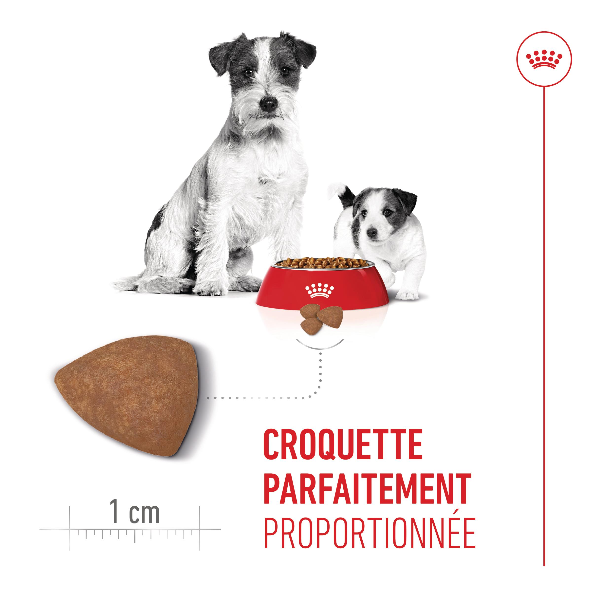 Royal Canin Mini Starter Mother & Babydog - Aliment pour Chien