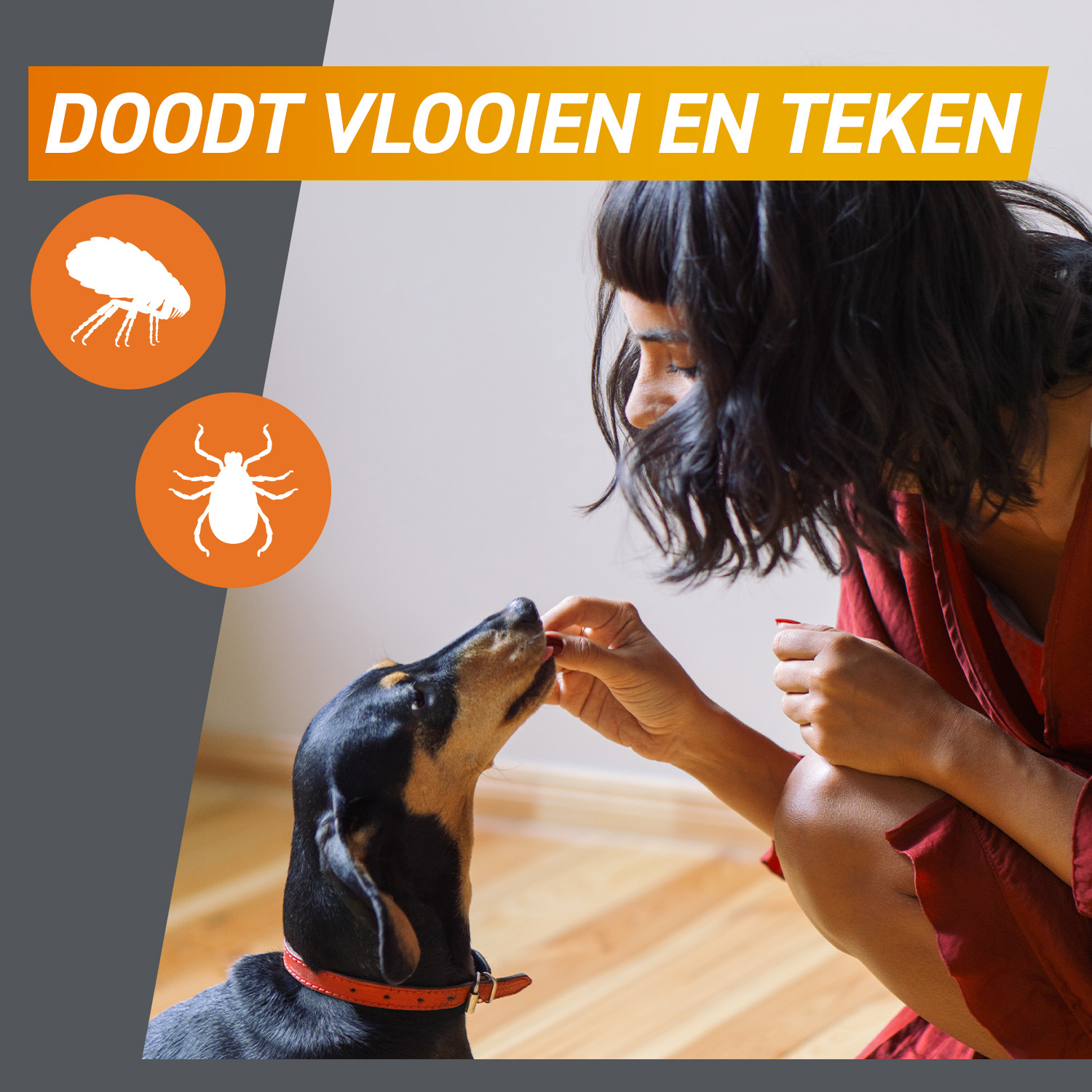 FRONTPRO Kauwtabletten Hond