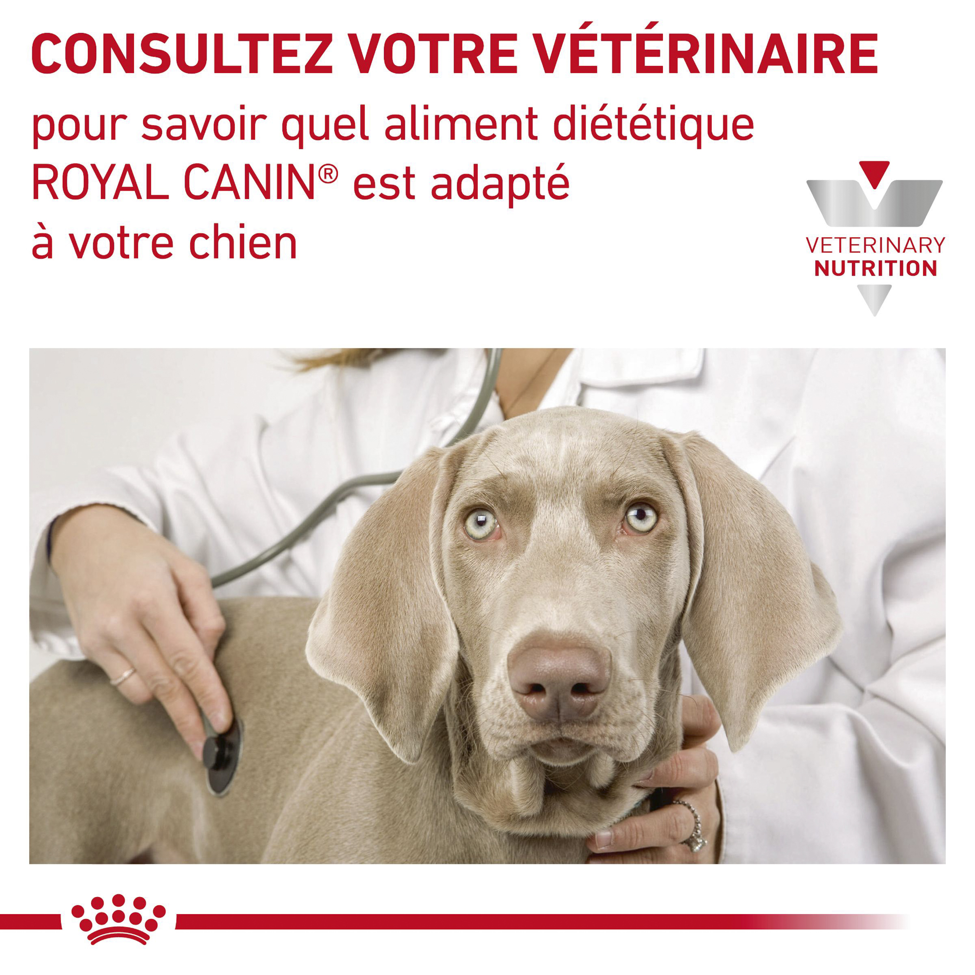 Royal Canin Gastro Intestinal Moderate Calorie - Chien