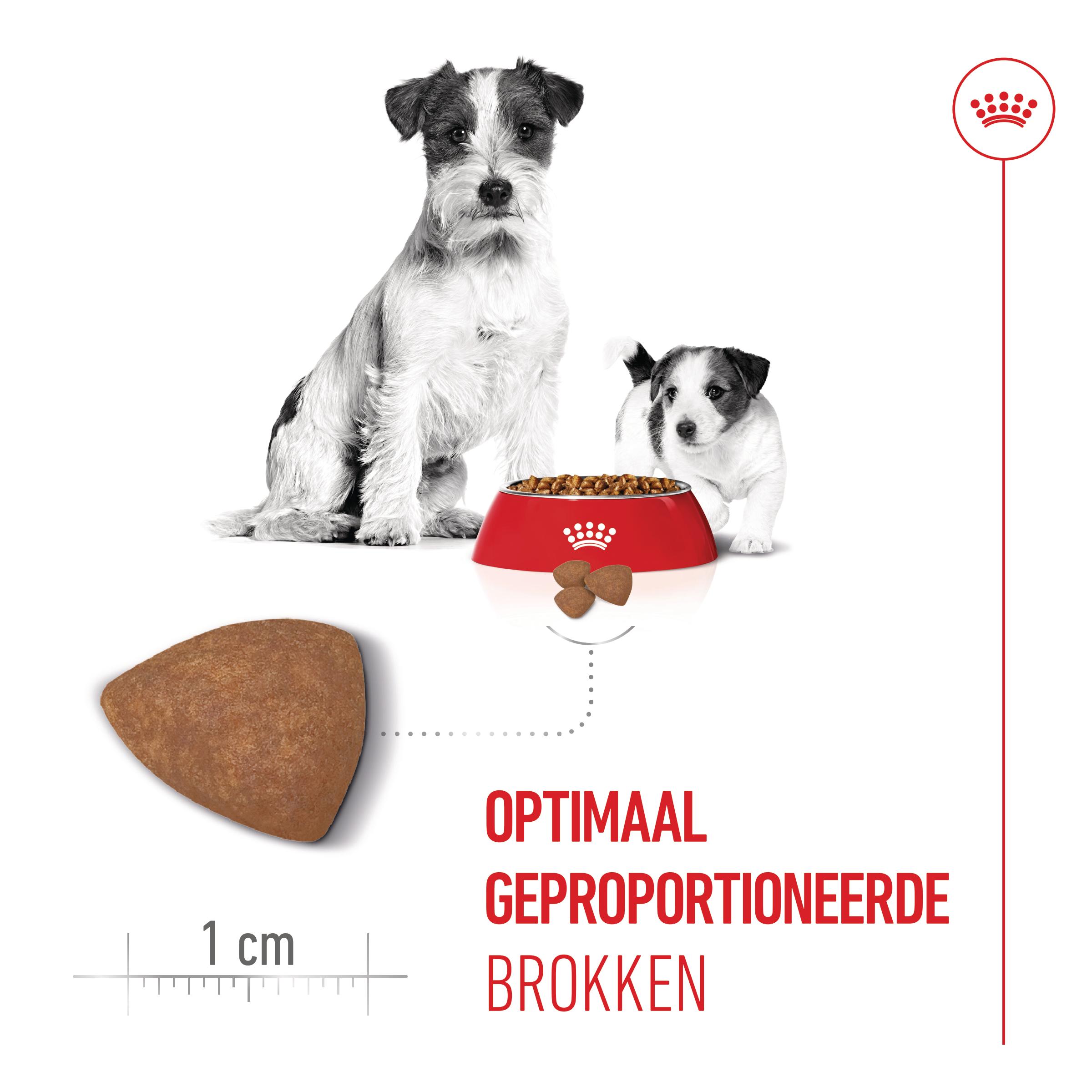 Royal Canin Mini Starter Mother & Babydog - Hondenvoer
