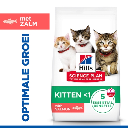 Hill's Science Plan - Kitten - Salmon
