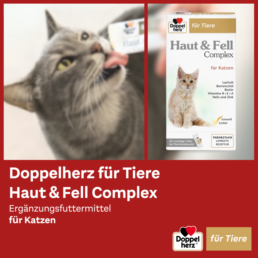 Doppelherz Haut & Fell Complex für Katzen