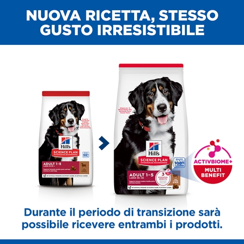 Hill's Science Plan Large Breed - Adult - Agnello e Riso