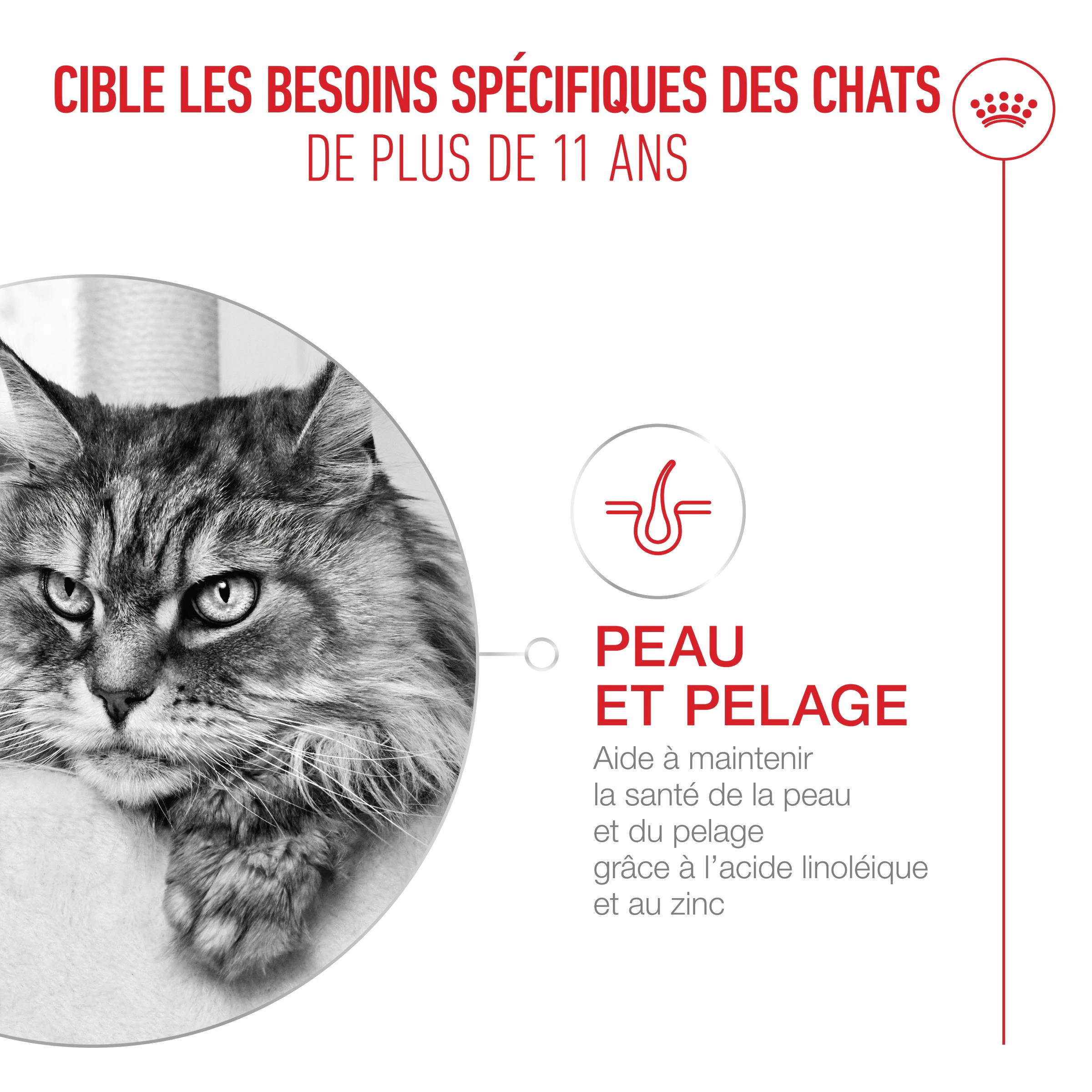 Royal Canin Ageing 11+ Mousse - Nourriture pour chats