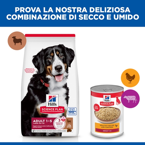 Hill's Science Plan Large Breed - Adult - Agnello e Riso