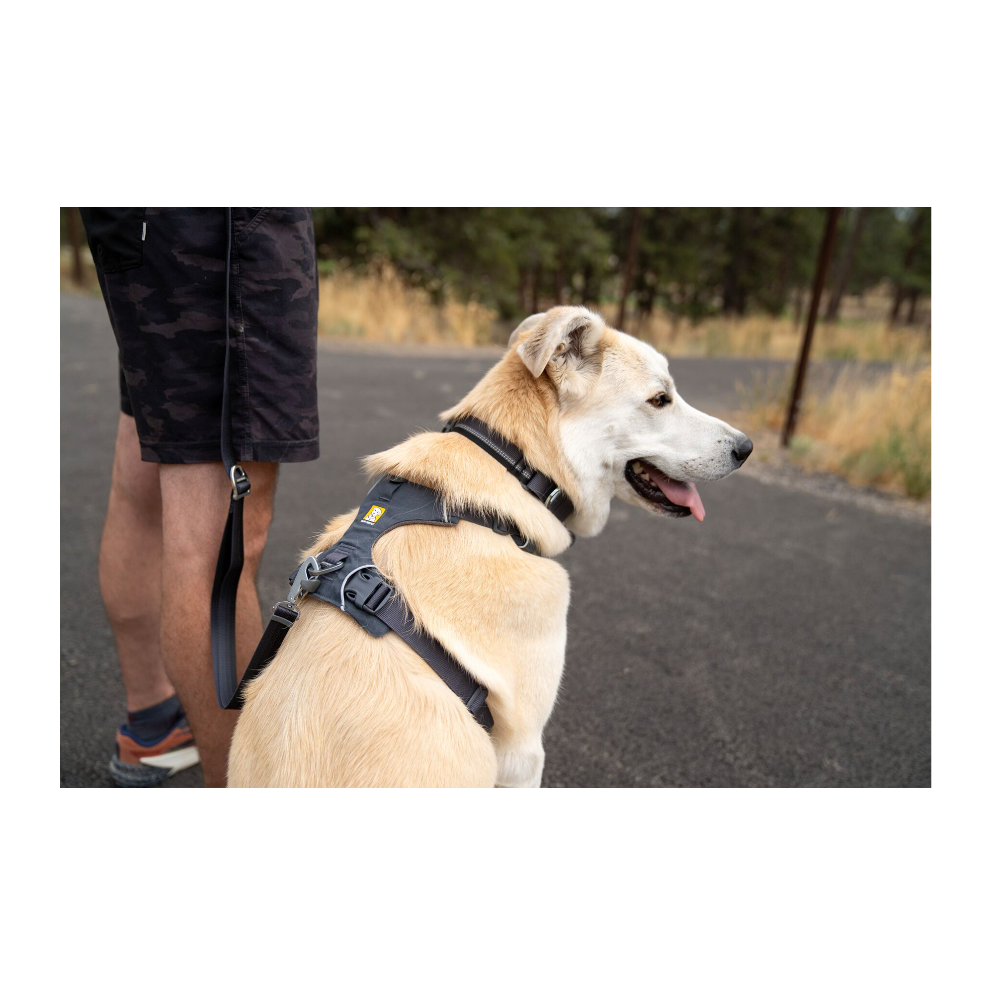 Ruffwear Front Range Harnais pour Chien