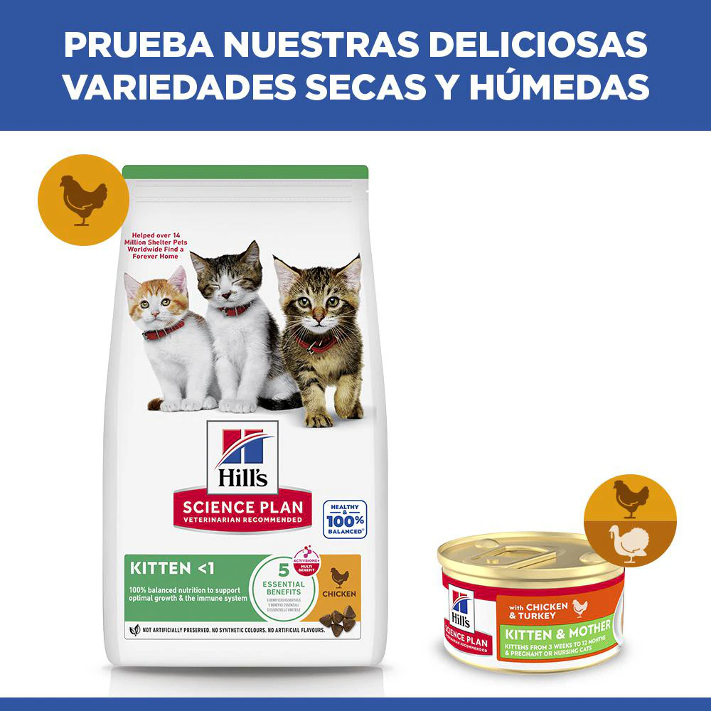 Hill's Science Plan Kitten & Mother Tender Mousse