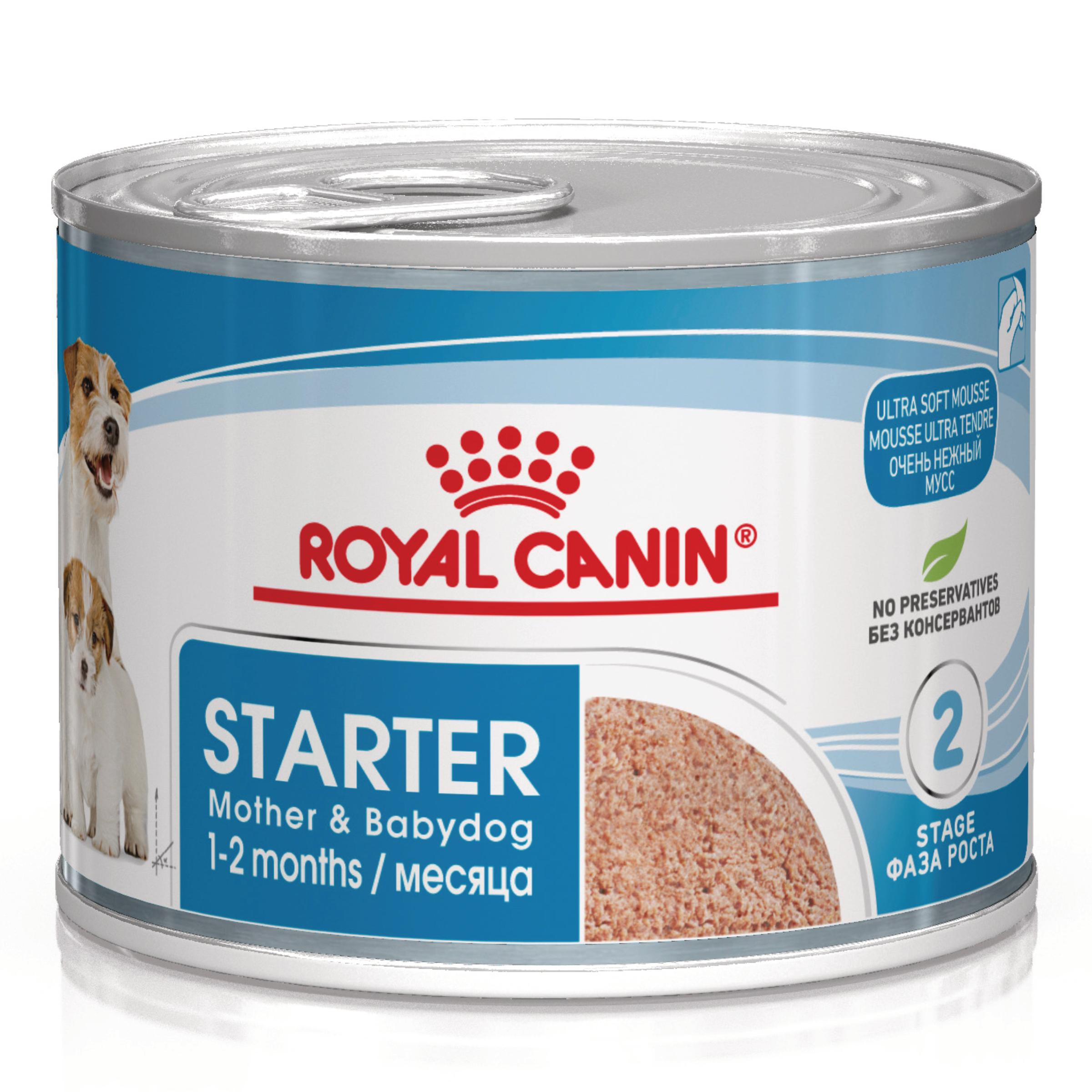 Royal Canin Starter Mousse Mother & Babydog - Dog Food