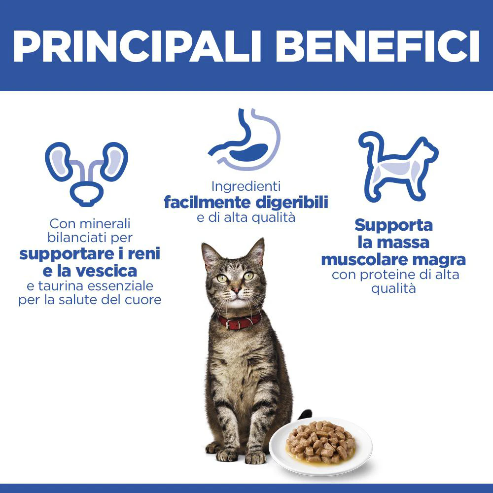 Hill's Science Plan - Feline Adult - Pollo/Pollame - Bustina Pasto