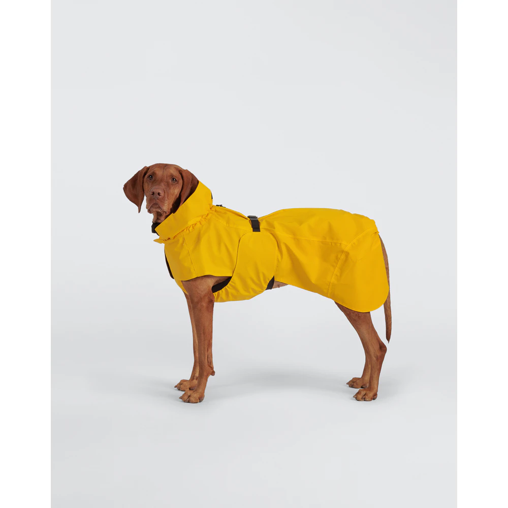 PAIKKA Visibility Raincoat