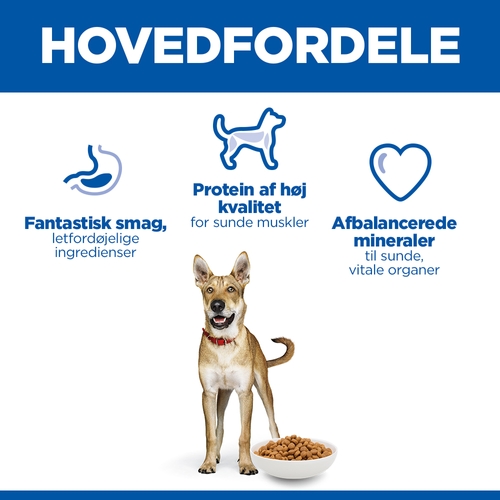 Hill's Science Plan Adult Performance Hundefoder
