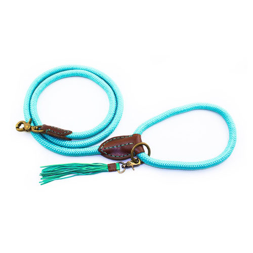 DWAM Hondenriem Turquoise - S