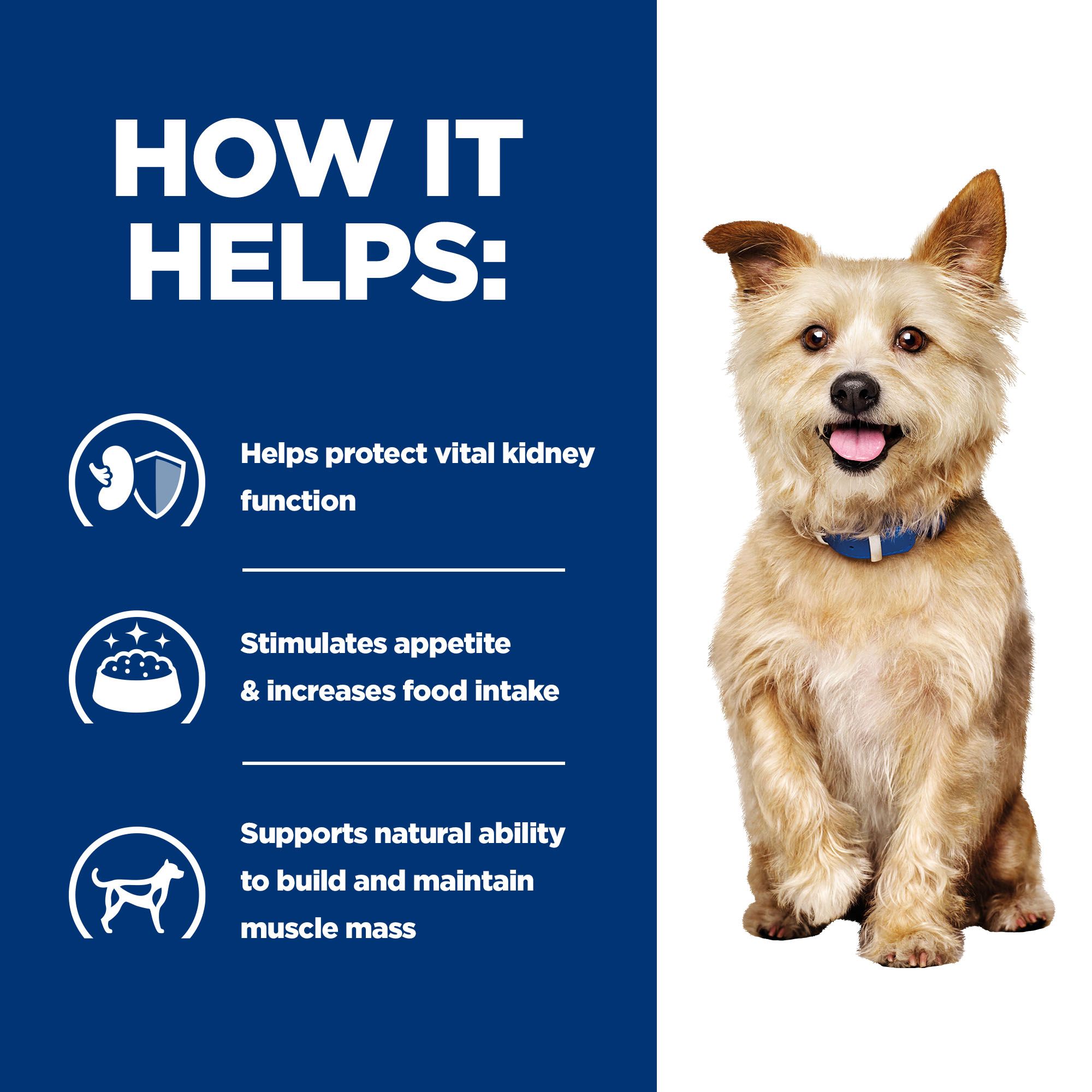 Hill's k/d Kidney Care - Prescription Diet - Canine