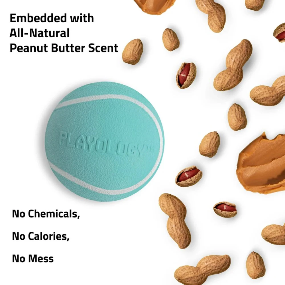 Playology Squeaky Chew Ball