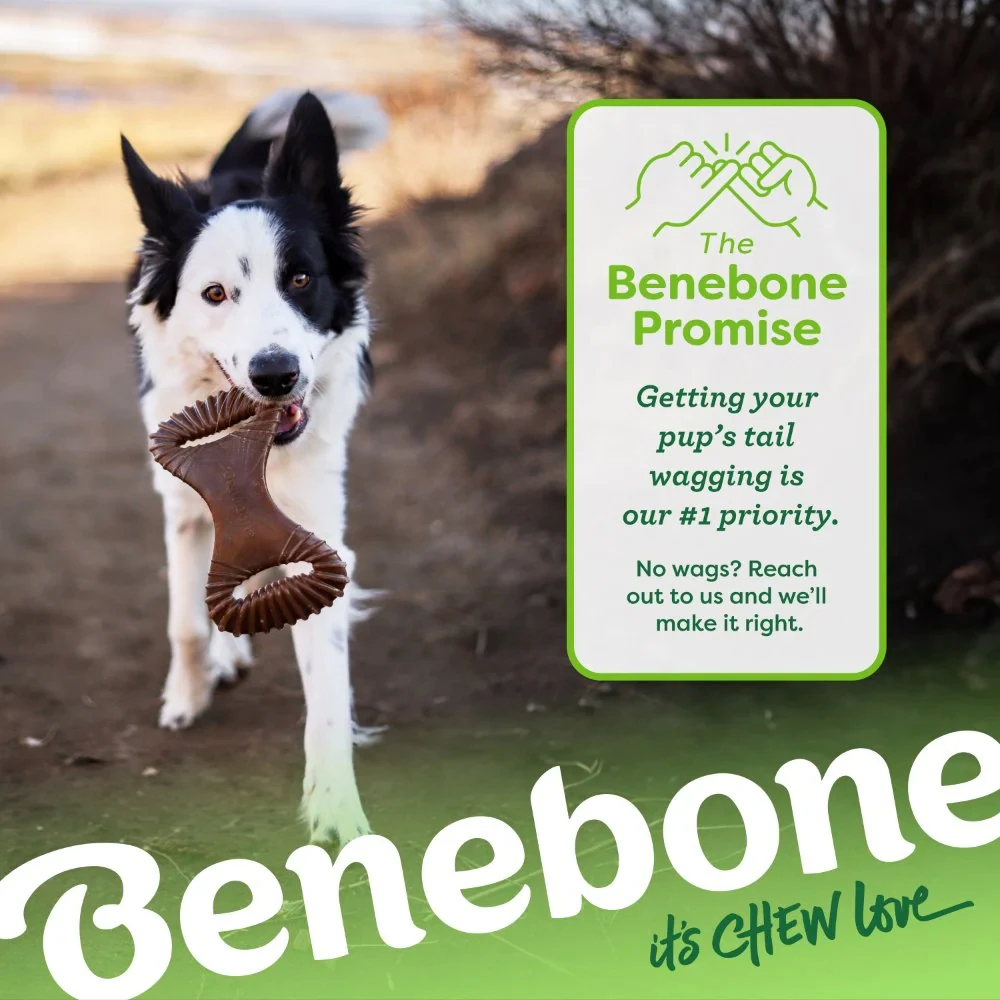 Benebone Dental Chew