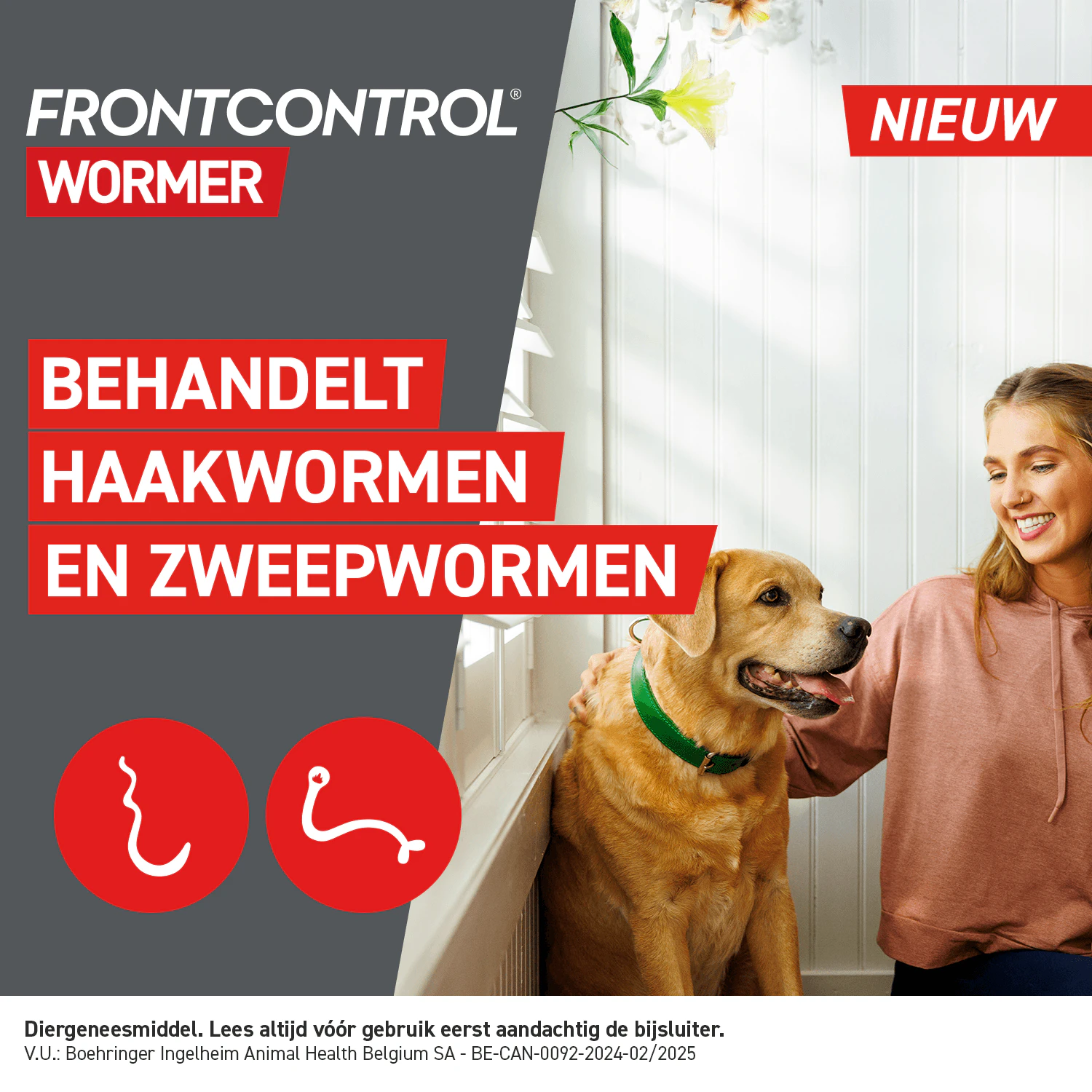 Frontcontrol Wormer Hond