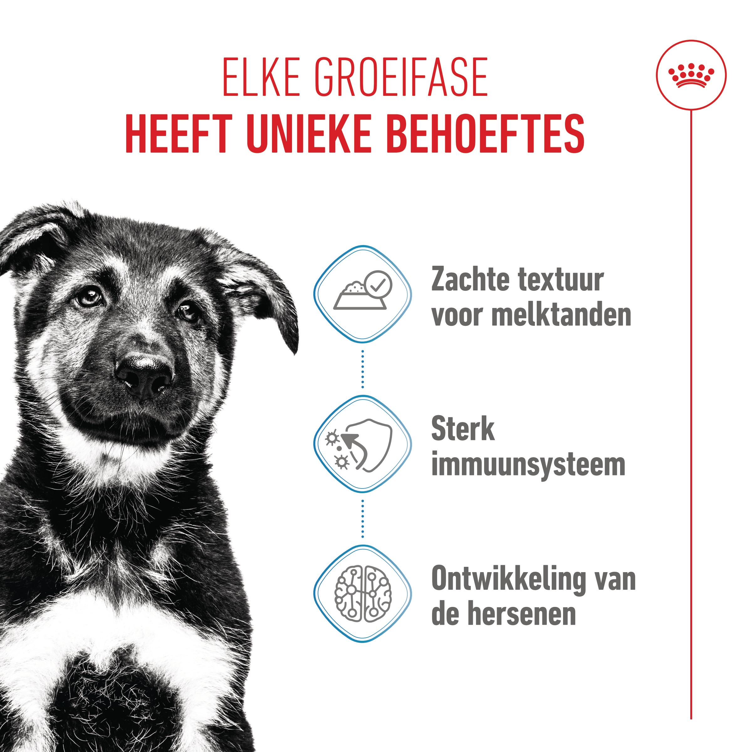 Royal Canin Maxi Puppy Wet - Hondenvoer