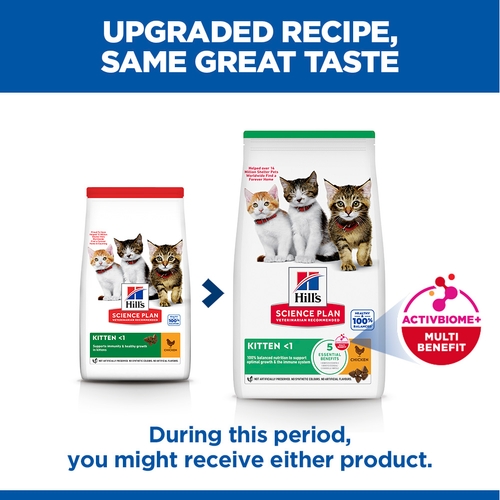 Hill's Science Plan Kitten - Chicken