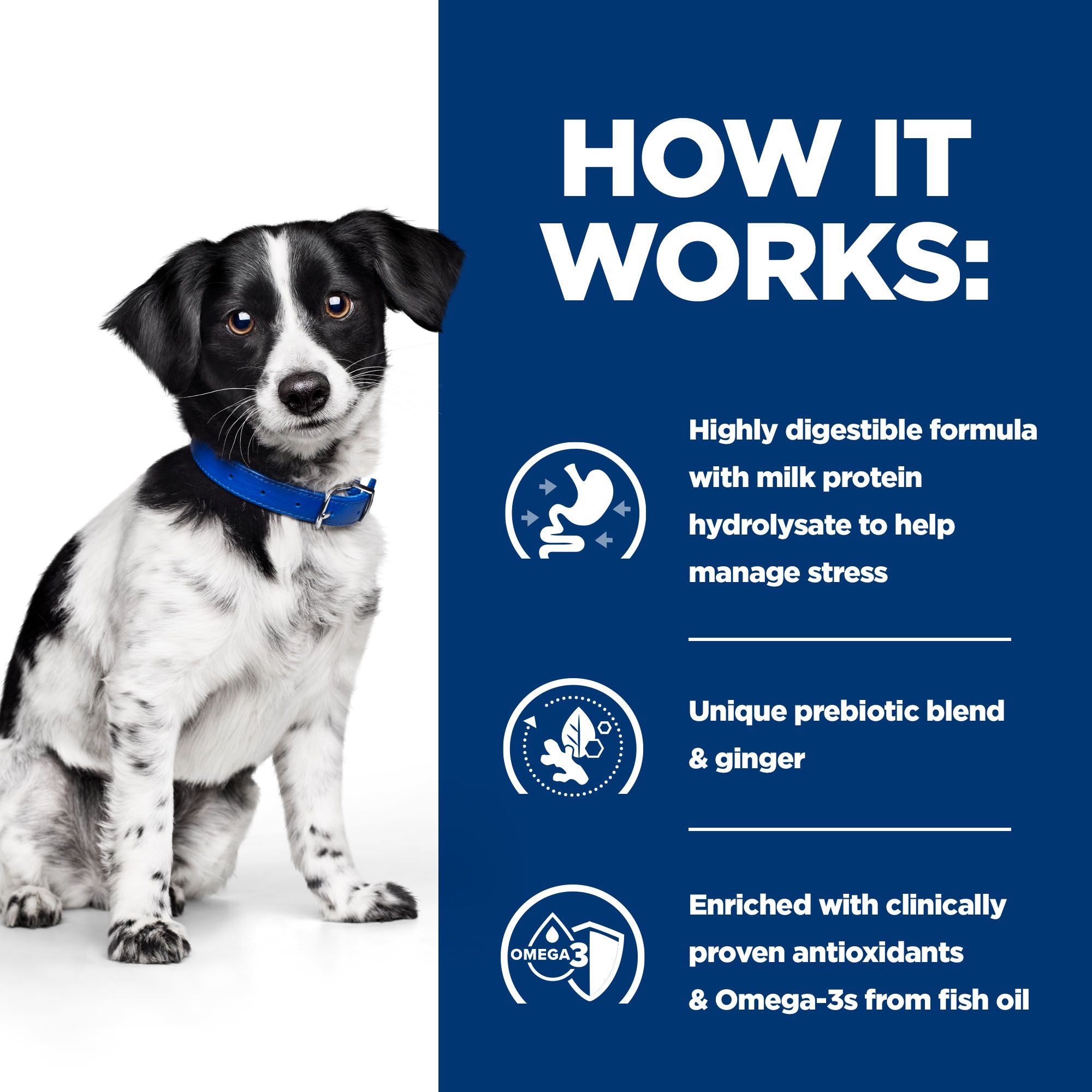 Hill's i/d Digestive Care Stress Mini Dogs Shop