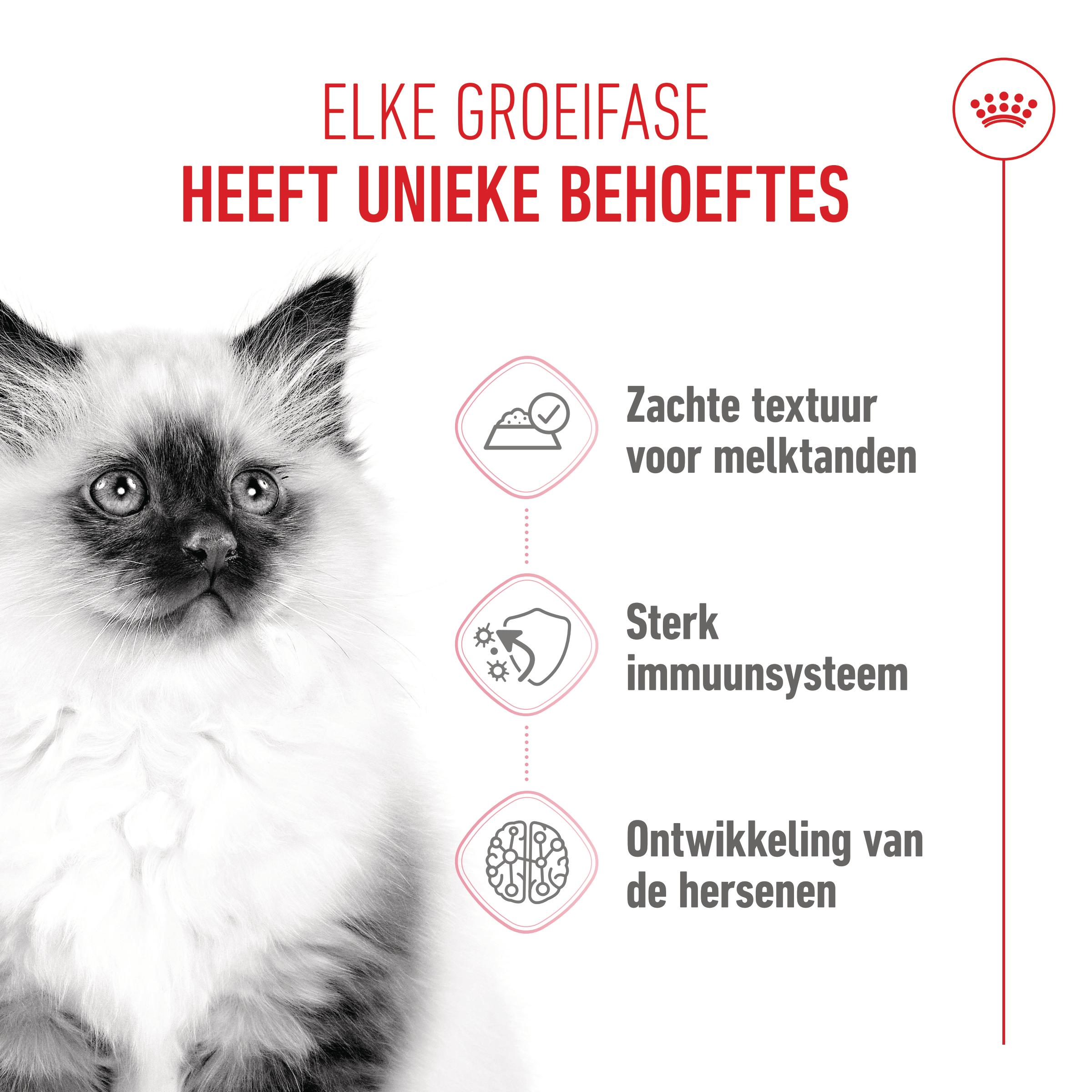 Royal Canin Kitten in Gravy - Kattenvoer